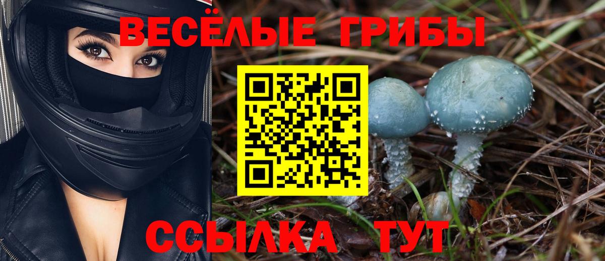 Галлюциногенные грибы Psilocybine cubensis Отрадный